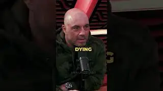 Joe Rogan Reveals the Surprising Key to a Motivated Life #shorts #motivation #joerogan #advice