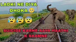 HATHI K SAAMNE GAYA LADKA MARNE LADKI NE DIYA DHOKA 😳😳 ||By Bob'z Rai Creative One|| pyaar k chakkr
