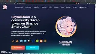 Saylor Moon Token | Tokenomics 101