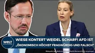 DEUTSCHLAND: Wiese kontert Weidel scharf! AfD ist 