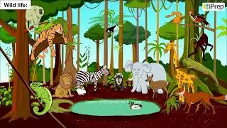 Natural Vegetation and Wildlife I | Chapter 2 | Geography | Class 8 | iprep