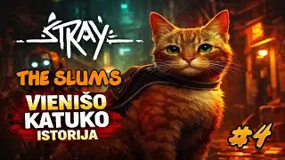 Stray - Lu&scaron;nynai | Atradome kanalizacijos robotus #4
