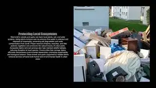 JunkAway LLC - Debris Removal Near Me Supports Cleaner Streets and Parks