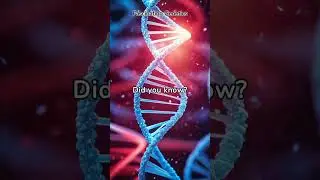 DNA Decoded: The Building Block of Life #shorts