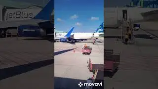 Ground crew. United 737-800.