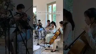 Concerning Hobbits Live String Quartet #lotr #violin #cello #music #weddingmusic #wedding