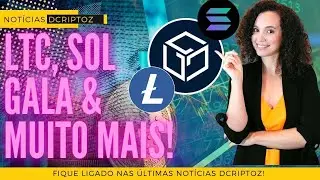 ⚠️ GALA Games pede CALMA ap&oacute;s rumores de Hack multibilion&aacute;rio | NOT&Iacute;CIAS DCRIPTOZ