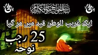 25 Rajab Noha | Noha Imam Musa Kazim as | Aik Ghareeb Ul Watan Qaid Main Mar Gaya | Maa Ki Mamta 313