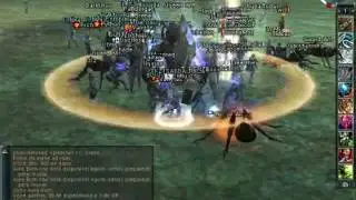 Lineage II C1 - Queen Ant raid