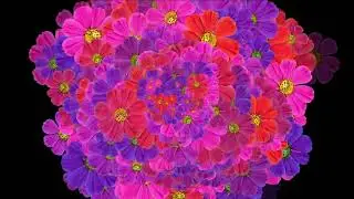 Free Loop Animated Backgrounds | Effect Background Collections | HD 720