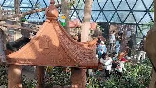 Ganda mga butterfly sa UAE, naalangaan sila😋