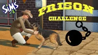 Prison challenge, ep94 # Bizarre, bizarre ...