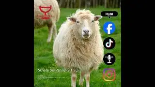 Schafe bei Penny (9.1.2026)