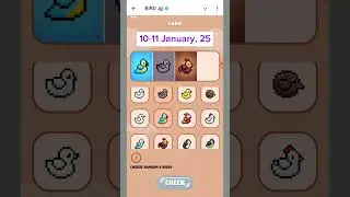 Birdton daily combo | 10 January | Bird ton daily combo cards video |