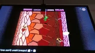Battletoads  day 6