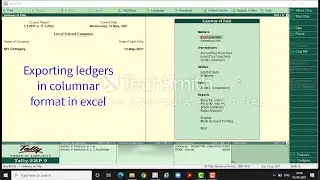 Tally Ledger Export in columnar format