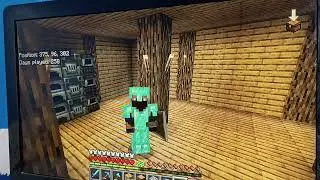 I survived 200-300 Days in Minecraft survival (currently on day 261)