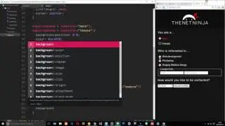 Styling HTML 5 Forms #3 - Styling Checkboxes