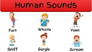 Human Sounds | Human Body Sounds In English | Learn English @paxberrytv