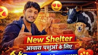 आवारा पशुओं के लिए शेल्टर त्यार कर रहे हैं #ytshorts #youtubeshorts #saveanimals 