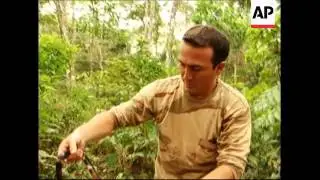 Shortage of antivenom serum to treat snake bites say medics