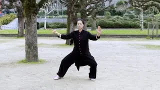 Chen-Style 36 Form &ndash; Full Demonstration &ndash; Front View |  陳式太極拳三十六式 全套正面演練