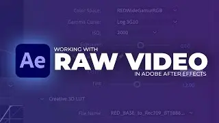 Access RAW Settings in Adobe After Effects (.R3D RAW)