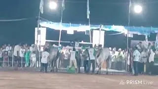 ఎర్రగొండపాలెం   న్యూకేటగిరి విభాగంలో*11 శ్రీనివాస్ రెడ్డి కోలిపోర గుంటూరు జిల్లా...*🌳