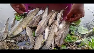 🎣Amazing Fish Catch Hands 🐟🐟
