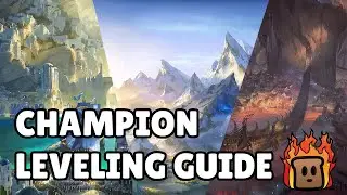 Champion Leveling Guide