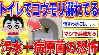 家のトイレでコウモリが溺れてるんだがｗｗｗ【2ch面白いスレゆっくり解説】