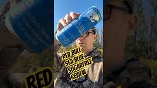 Red Bull Sea Blue (Sugarfree) Energy Drink Review