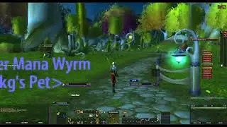 [10] Taming the Beast | Classes | Hunter (ID: 41179) - Turtle Wow Quest Database