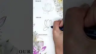 P.O.V draw a crocus flower with me in easy stages ✨