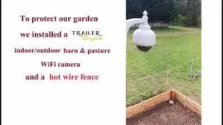 Protecting garden from deer. Trailer Eyes camera & hot wire fence.