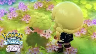 Shiny Shaymin In 67 RE&rsquo;s In Pokemon Brilliant Diamond(ReUpload)