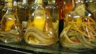 Traditional Chinese Snake Wine Medicine Jars