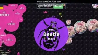 Beetle Agmaio Selfeed Asia 2019