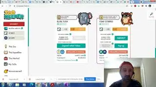 WanChain/ZooKeeper overview of connecting.