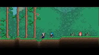 Starting a Calamity world (Terraria Tmod, Calamity mod)