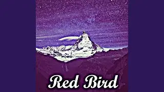 Red Bird