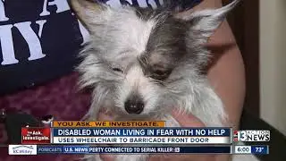 Disabled woman's difficulties in finding a domestic violence shelter