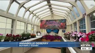 Live at ND State Fair - Immerse yourself in butterflies at the ND State Fair