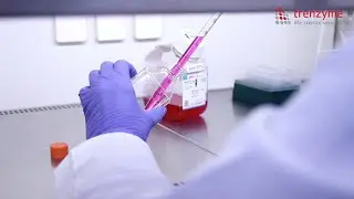 Customized Cell Line Development & Protein Production Services - trenzyme GmbH