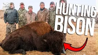 We Hunted FOUR American Bison in North Dakota!