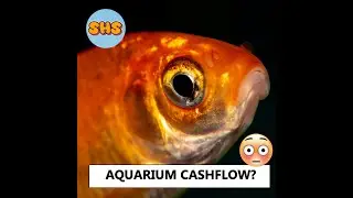Step by Step Plan 🐟 Aquarium Maintenance Business 🐠 Side Hustle Idea!