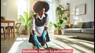 The maid story, (kushanda kwangu ku borrowdale)