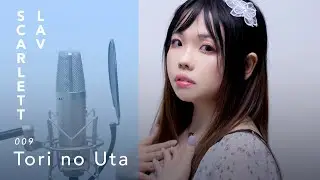 UTAU: Tori no Uta (Cover: Scarlett Lav) [Ori: Lia, Air Opening]