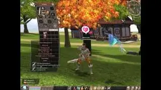 Metin2 Dpp auf +9 uppen ! Massikrieger + Darkwoulf