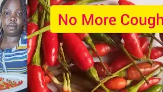 How to  stop Chronic  Respiratory  Diseases at your  farm. 